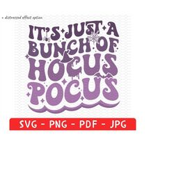 groovy hocus pocus png svg, retro halloween sublimation, it's just a bunch of, fall shirt png design, hocus pocus junkie