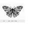 MR-228202313127-butterfly-svg-floral-butterfly-svg-butterfly-silhouette-svg-image-1.jpg