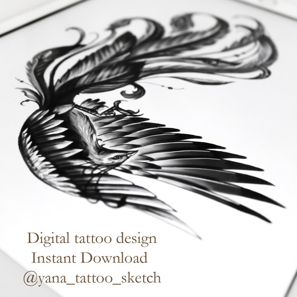phoenix-tattoo-design-phoenix-tattoo-sketch-phoenix-tattoo-ideas-5.jpg
