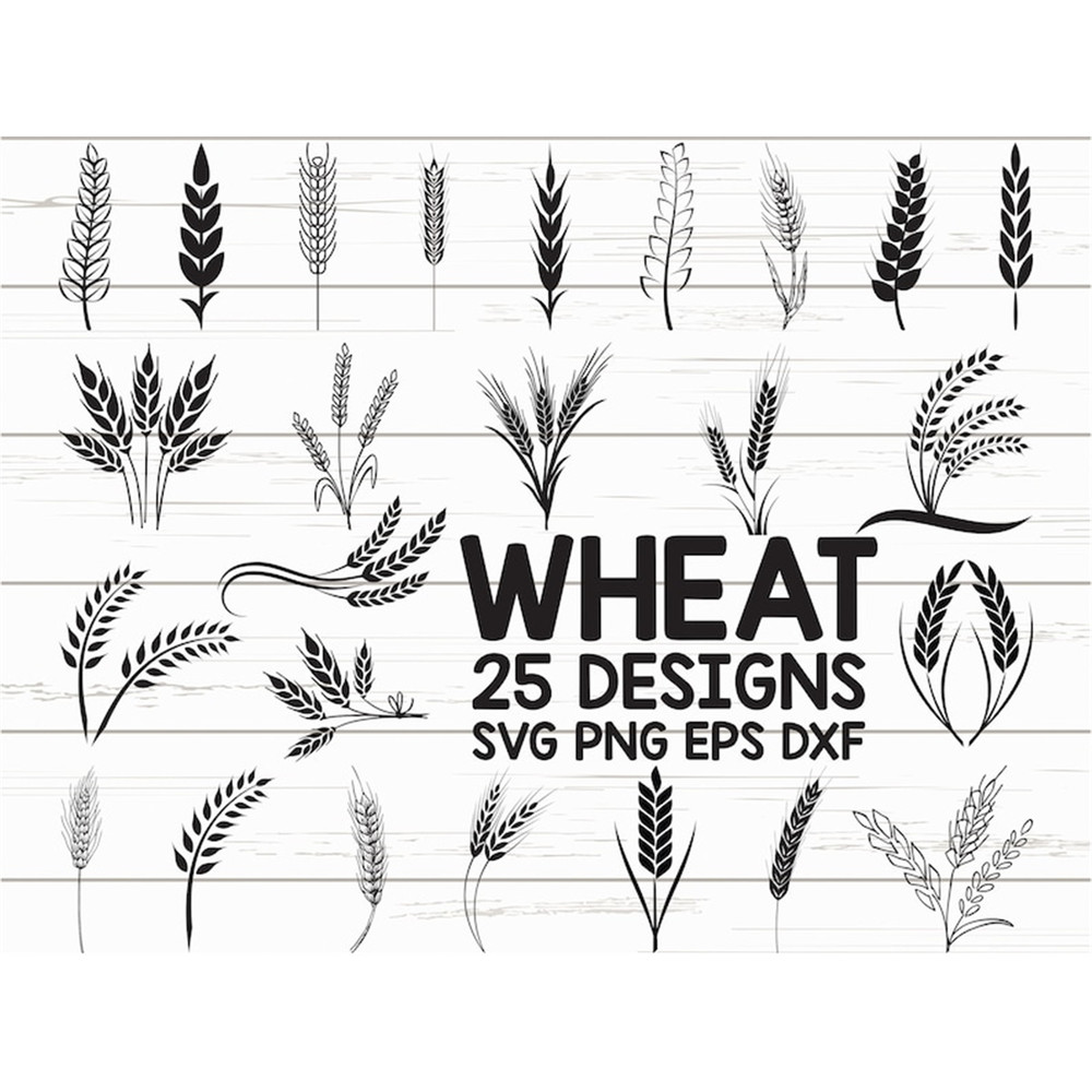 MR-2282023164249-wheat-svg-grain-svg-wheat-clipart-cut-files-cricut-image-1.jpg