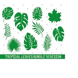tropical leaves svg, monstera leaf svg, palm leaves svg, jungle leaves svg, tropical svg, party decor svg, instant downl