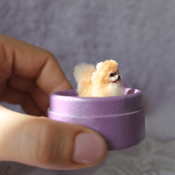 Miniature Beautiful Pomeranian dog pet Dollhouse Collection 1 inch OOAK  Pom Pom