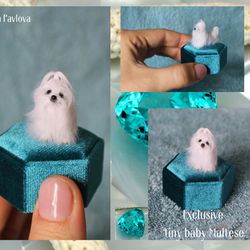 Maltese Miniature Realistic dog Beautiful gift tiny puppy Animal Collection Sculpture OOAK