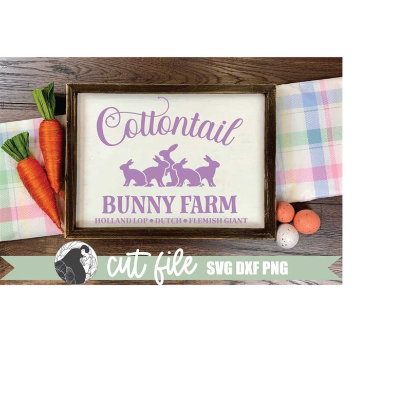 MR-2282023223722-cute-bunny-farm-svg-shown-on-a-farmhouse-sign.jpg