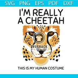i am really a cheetah svg, trending svg, cheetah svg, this is my human costume svg, i am really a cheetah svg, cheetah f