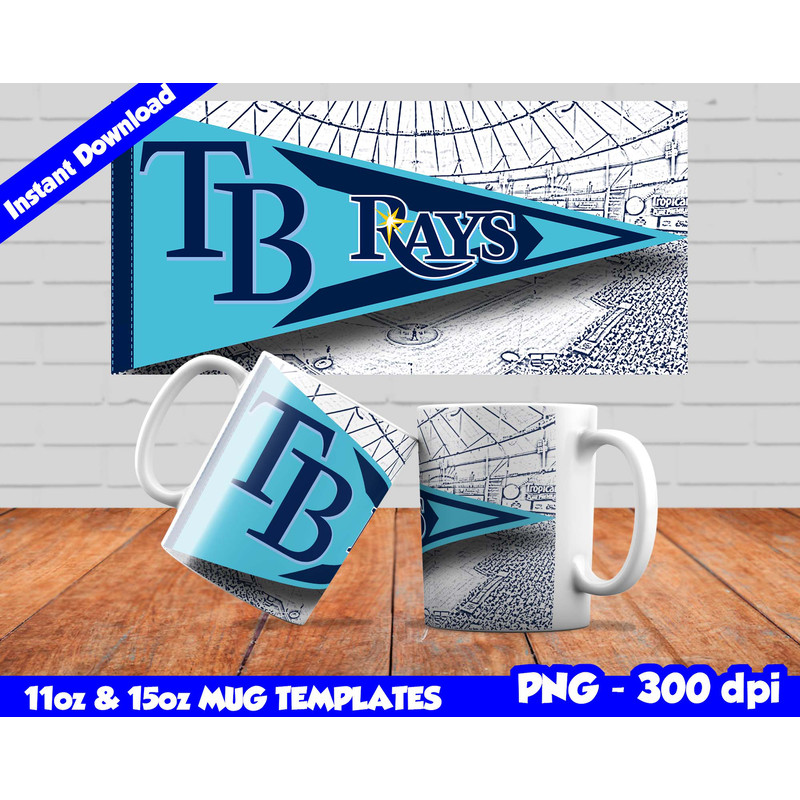 tampa bay rays p.jpg