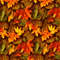 Autumn Leaves 44.jpg