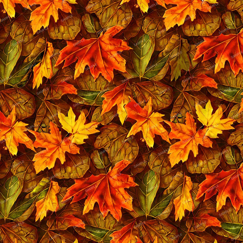 Autumn Leaves 44.jpg