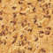 Chocolate Chip Cookie 22.jpg