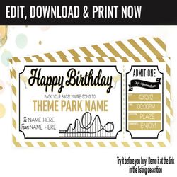 Birthday Surprise Theme Park Ticket Gift Voucher, Amusement Park Printable Template Gift Card, Editable Instant Download