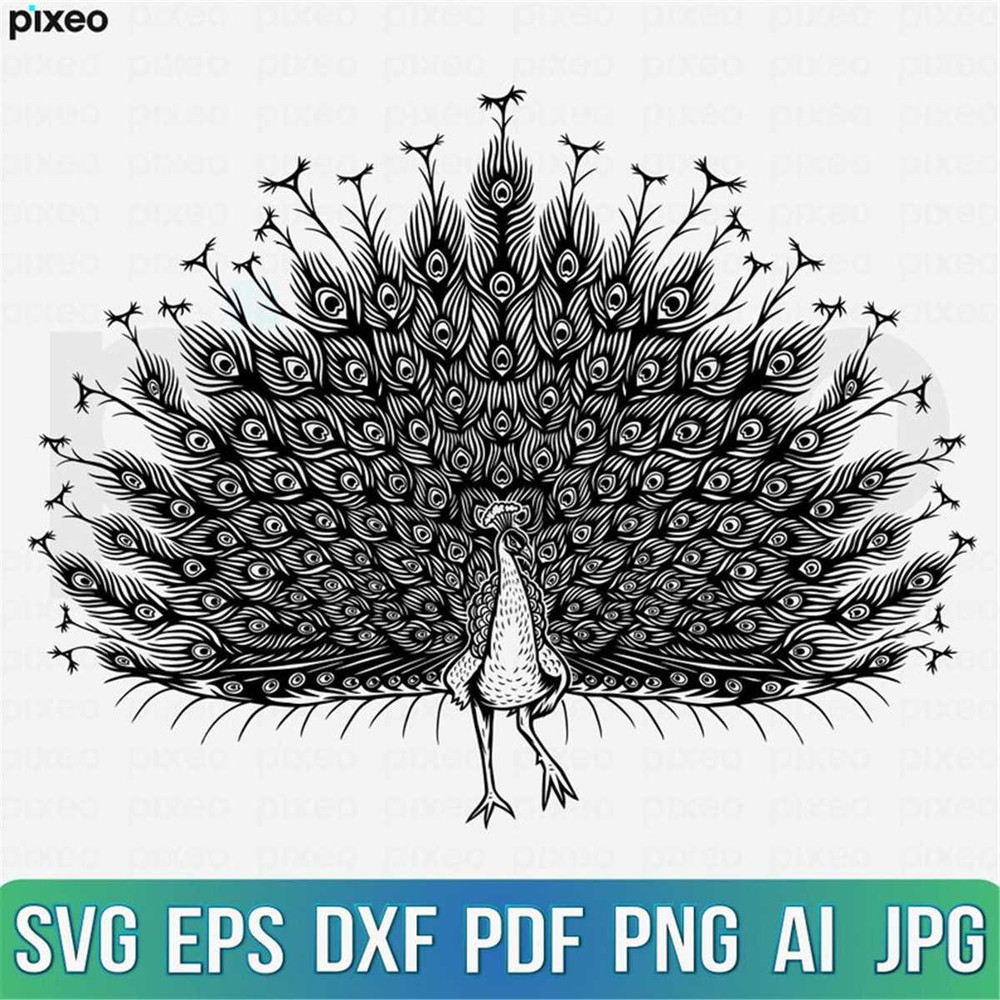 MR-238202315271-peacock-svg-peacock-clipart-peacock-cut-file-peacock-image-1.jpg