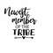 MR-2382023153639-newest-member-of-the-tribe-svg-baby-svg-newborn-svg-png-image-1.jpg
