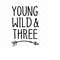 MR-2382023153716-young-wild-and-three-svg-third-birthday-svg-little-child-image-1.jpg