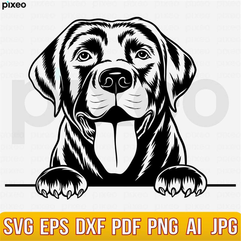 MR-238202316915-labrador-svg-labrador-retriever-svg-labrador-clipart-image-1.jpg