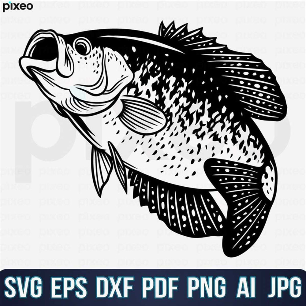 MR-238202316945-crappie-fishing-svg-fishing-svg-crappie-fish-svg-crappie-image-1.jpg
