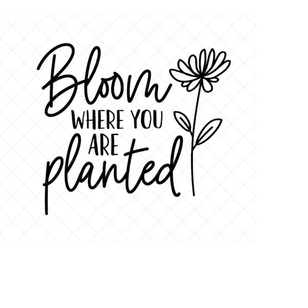 MR-238202316403-bloom-where-you-are-planted-svg-quote-svg-inspiration-svg-image-1.jpg