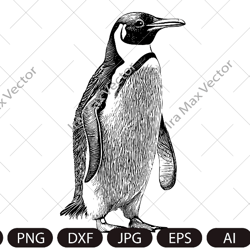 Penguin Svg, King Penguin SVG, Sea Animal SVG, Penguin Silhouette, Penguin Clipart, Penguin SIlhouette, Penguin detailed