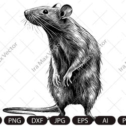 Rat Svg, Rat Clipart, Rat Png, Rat Head, Rat Cut Files, Rat sublimation , Rat Silhouette, Animals Silhouette