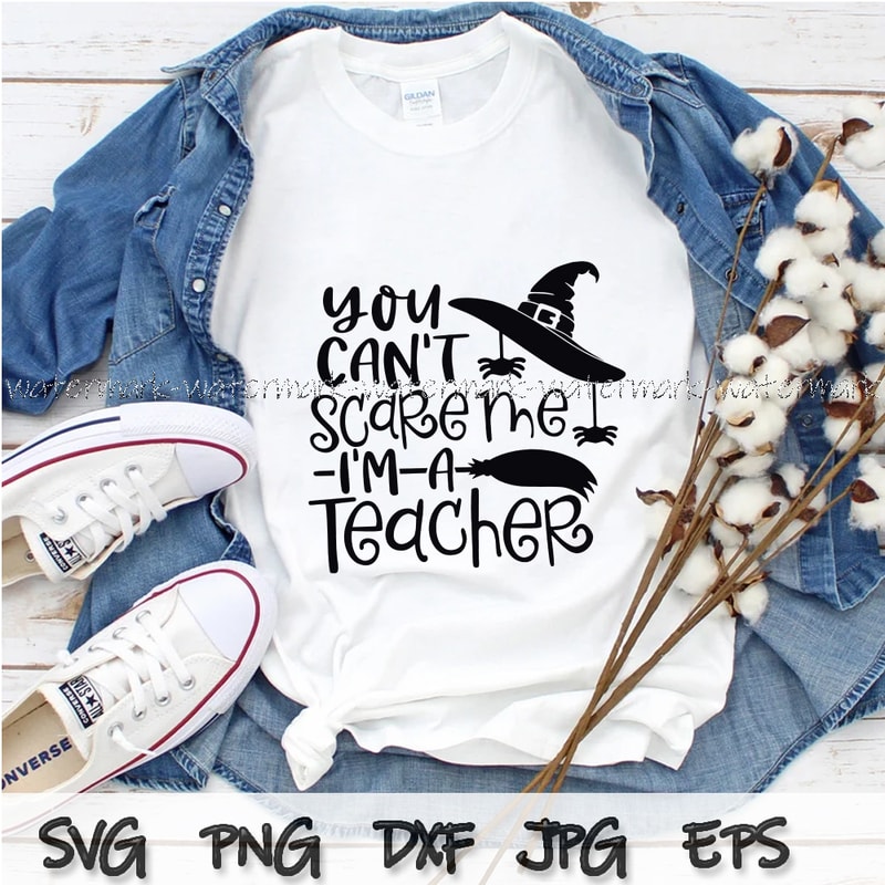 2017 You Cant Scare me Im a Teacher.jpg