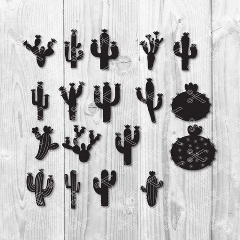 Cactus Bundle Svg, Cactus Svg, Cactus Clipart, Cactus Cricut Svg, Instant Download.jpg
