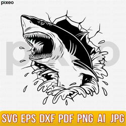 shark in the ocean svg, shark svg, shark name svg, shark clipart, jaws svg, great white shark svg, shark shirt, shark cr