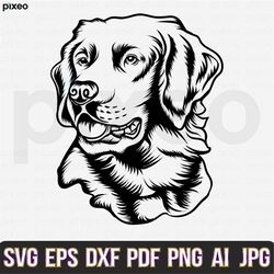 golden retriever svg, goldie svg, golden retriever clipart, dog svg, dog lover svg, goldie cricut, goldie cut file, gold