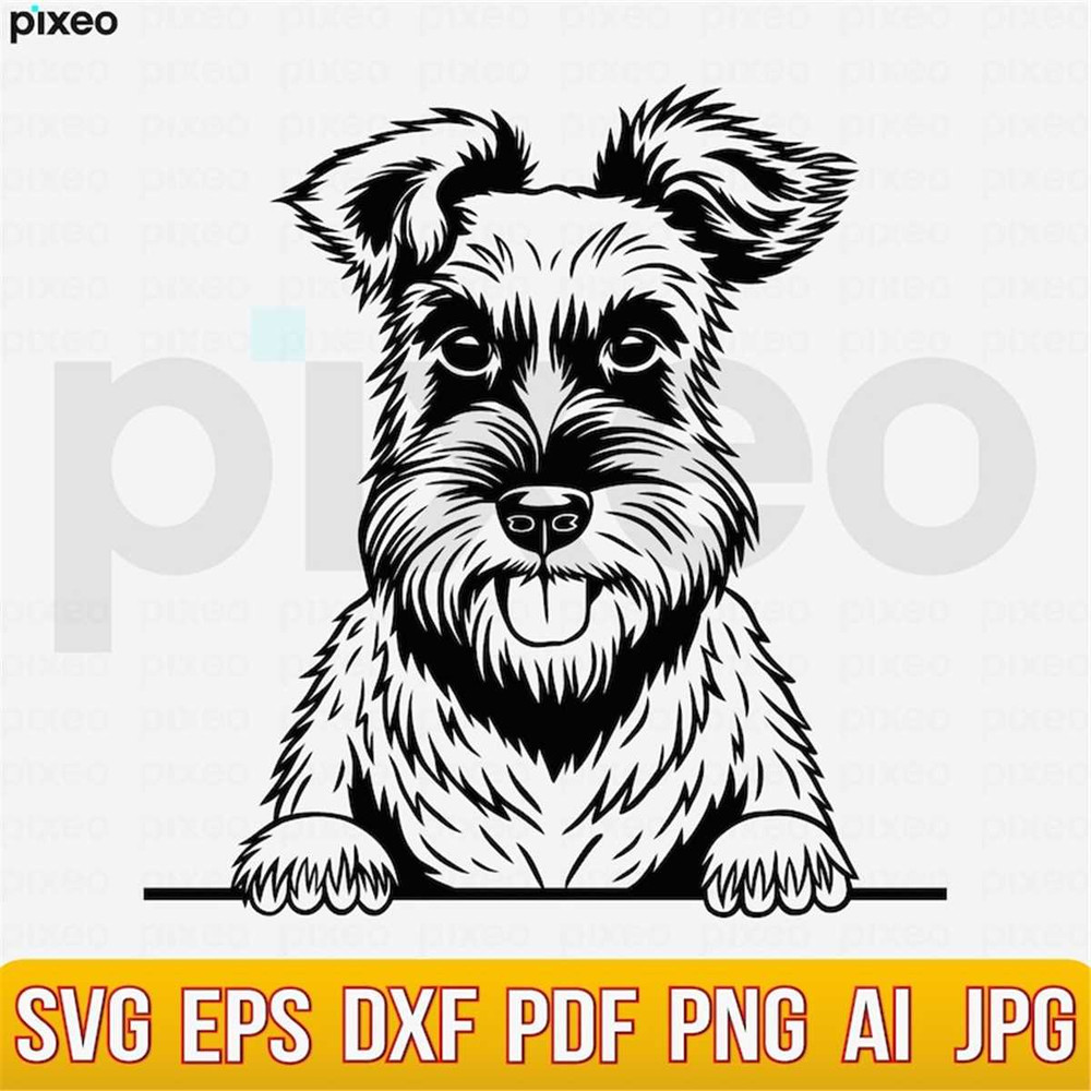 MR-248202311354-schnauzer-svg-schnauzer-clipart-schnauzer-cricut-schnauzer-image-1.jpg