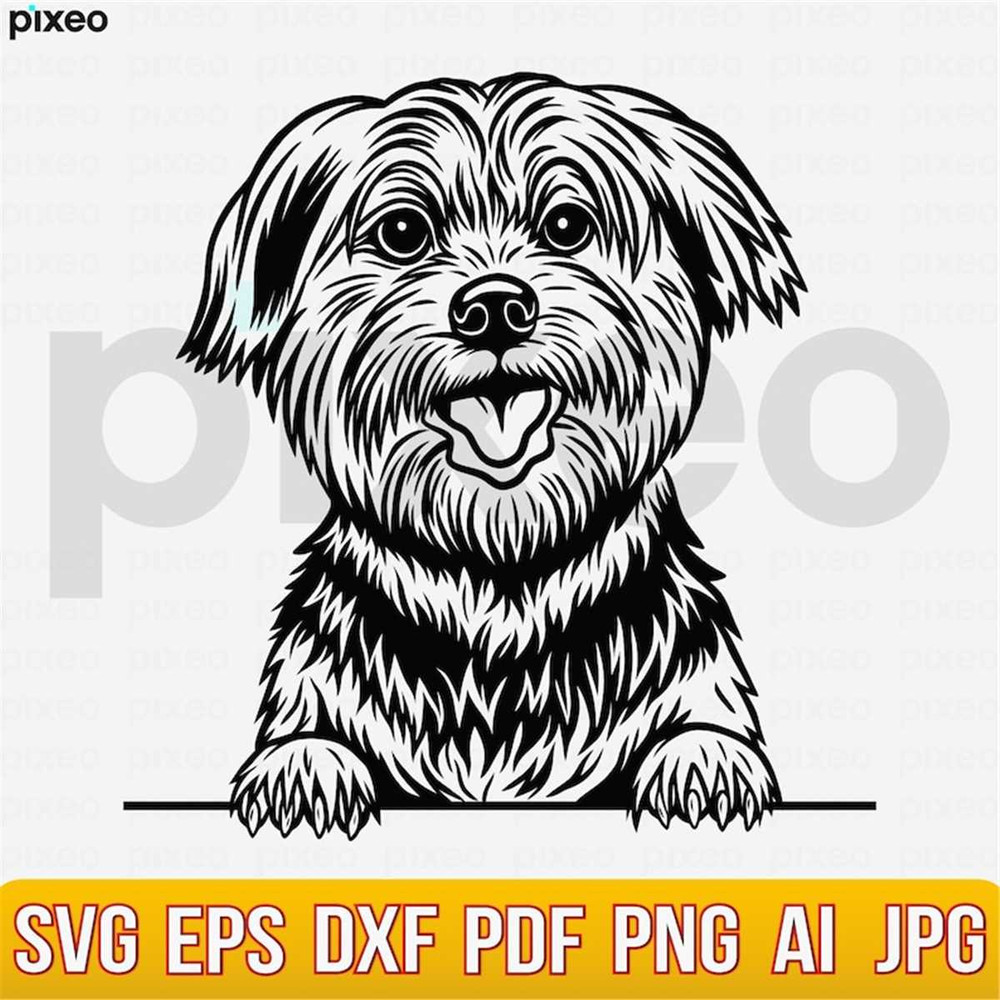 MR-2482023132430-yorkshire-terrier-svg-yorkshire-clipart-yorkshire-cricut-image-1.jpg