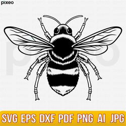 bee svg, bee flower svg, bee hive svg, bee clipart, bee cricut, bee cut file, bee shirt, queen bee svg, honey bee svg, b