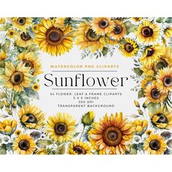 54 sunflower flowers png, watercolor floral clipart bouquets, elements, commercial use, digital clipart png