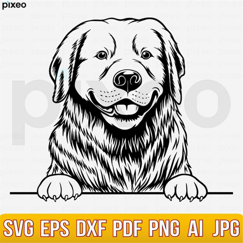MR-2482023134440-golden-retriever-svg-goldie-svg-golden-retriever-clipart-image-1.jpg