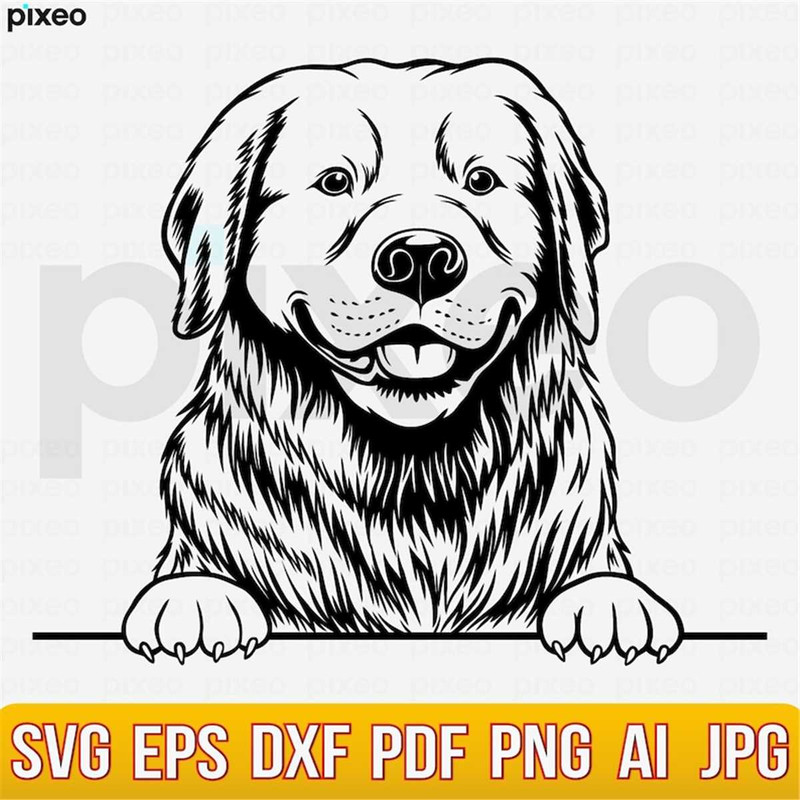 MR-2482023134440-golden-retriever-svg-goldie-svg-golden-retriever-clipart-image-1.jpg