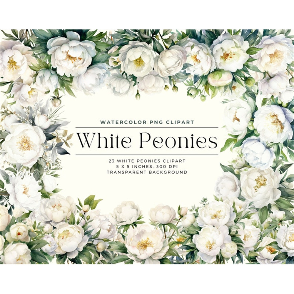 MR-248202314830-23-white-peonies-flowers-png-watercolor-floral-clipart-image-1.jpg