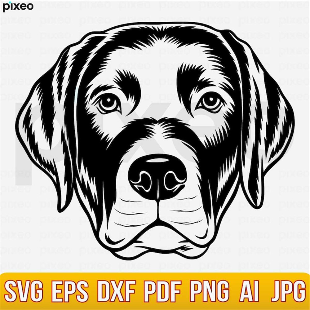 MR-248202314912-labrador-svg-labrador-retriever-svg-labrador-clipart-image-1.jpg