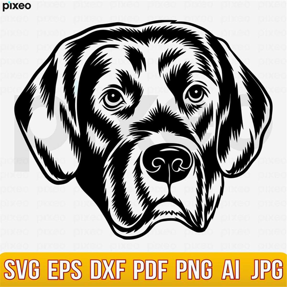 MR-248202314949-labrador-svg-labrador-retriever-svg-labrador-clipart-image-1.jpg