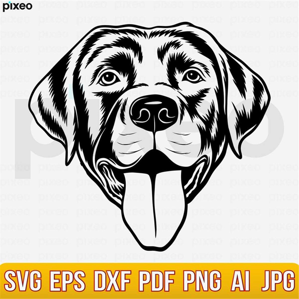 MR-2482023141025-labrador-svg-labrador-retriever-svg-labrador-clipart-image-1.jpg