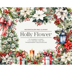 holly flowers png, watercolor holly clipart - winter botanical, watercolor floral clipart bouquets, commercial use, digi