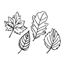 fall leaves svg, fall svg, autumn leaves svg, fall leaf svg bundle, fall png, dxf, clipart, cut files for cricut, silhou