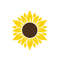 MR-248202316163-sunflower-svg-flower-svg-digital-download-clipart-image-1.jpg