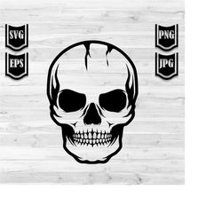 skull svg file | skeleton head stencil | skull clipart | skull illustration | human skull cut file | skeletal head skull