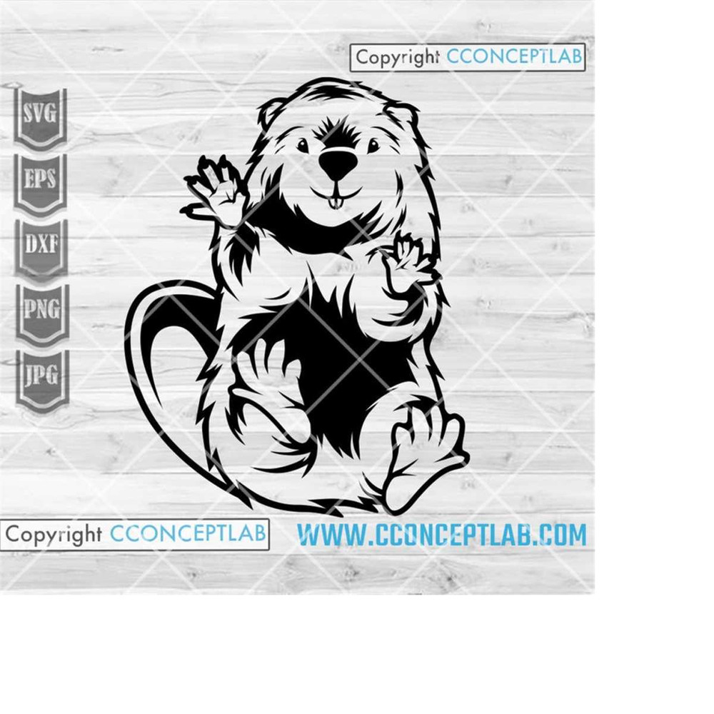 MR-2482023172810-beaver-svg-swamp-animal-clipart-woodland-stencil-opossum-image-1.jpg