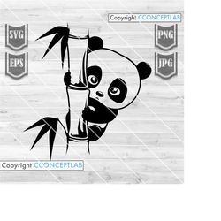 cute panda peeking svg file || panda svg || panda cut files || panda clipart || peeking animal svg || panda png | baby p