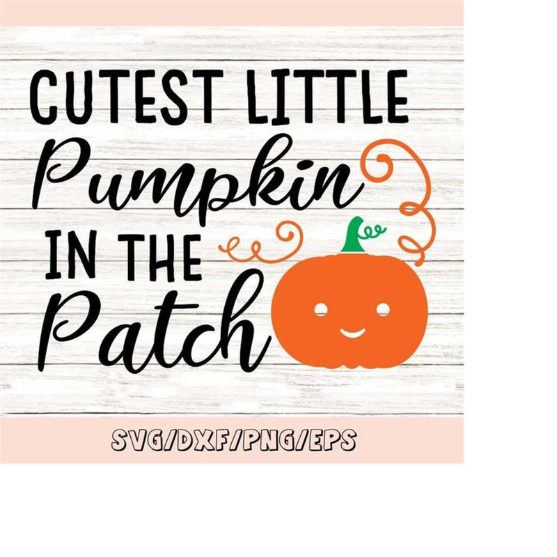 MR-248202319257-cutest-pumpkin-in-the-patch-svg-thanksgiving-svg-pumpkin-image-1.jpg