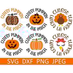 cutest pumpkin in the patch svg, cutest turkey in town svg, digital downloadcut files, sublimation (6 individual svgdxfp