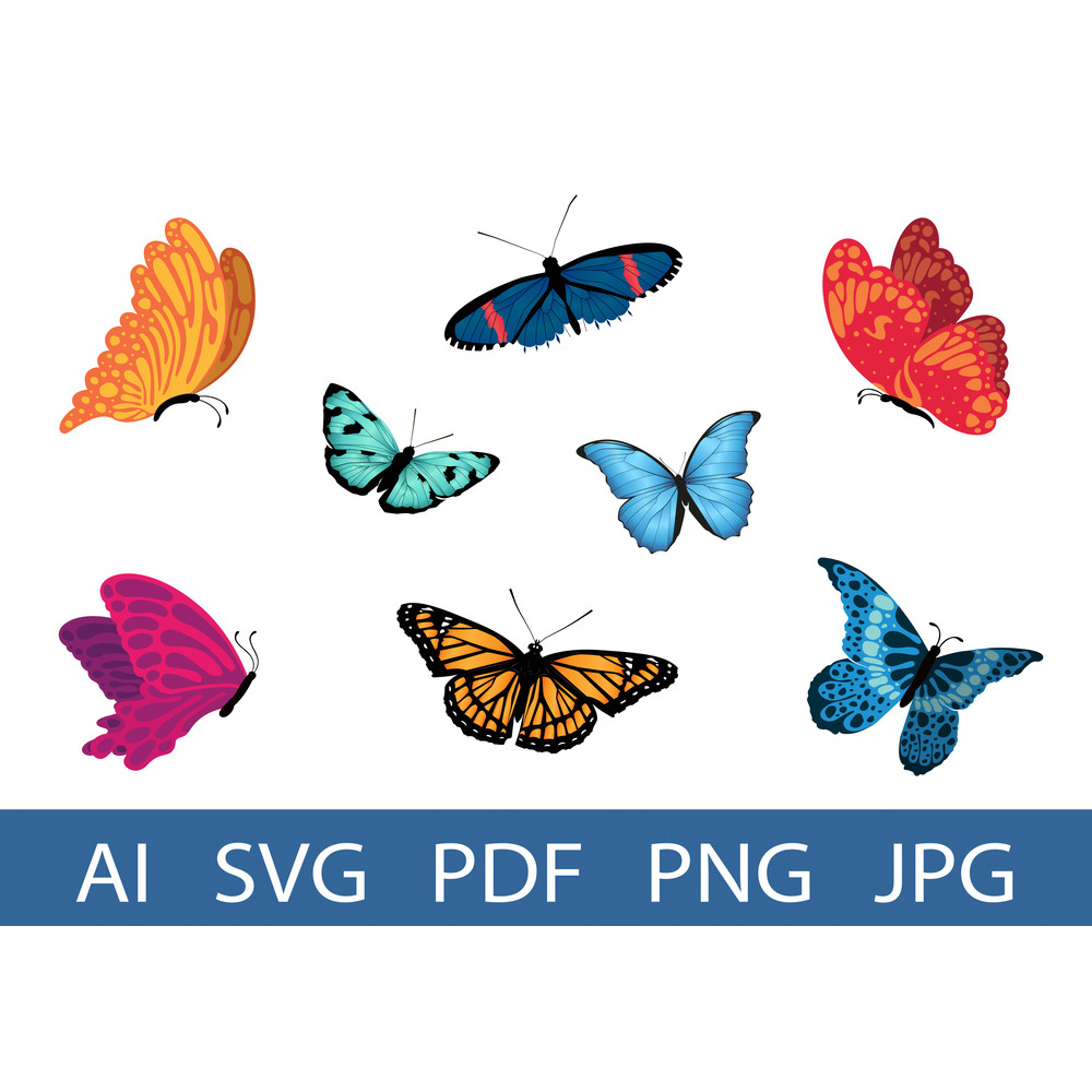 butterfly 6 mockup-01.jpg