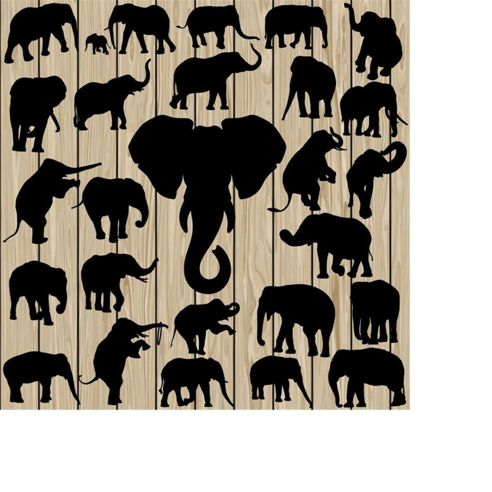 MR-2482023214943-26-elephant-svg-elephant-eps-elephant-vector-elephant-image-1.jpg