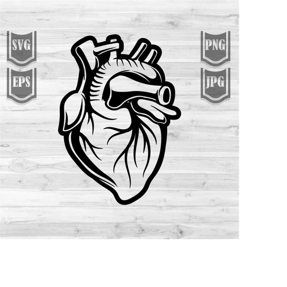 MR-248202322399-hear-illustration-svg-heart-organ-clipart-human-heart-image-1.jpg