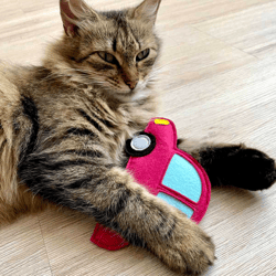 Car catnip cat toy Handmade cats toys Gifts