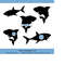 MR-258202362428-shark-svg-silhouette-shark-monogram-svg-shark-clipart-shark-image-1.jpg