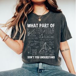 math teacher shirt, funny math shirt, math teacher gift, math lover shirt, mathematics shirt, algebr
